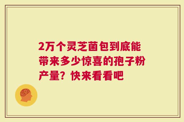 2万个灵芝菌包到底能带来多少惊喜的孢子粉产量？快来看看吧