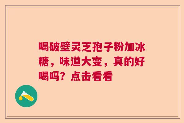 喝破壁灵芝孢子粉加冰糖，味道大变，真的好喝吗？点击看看